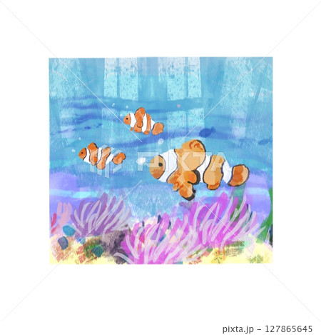 クマノミと海のイラスト（昼） - スクエア構図   Clownfish in the Sea Ill 127865645