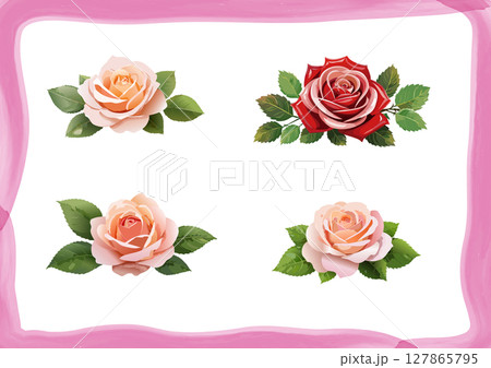 バラの花_素材 バラの花_素材 127865795