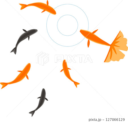 水面に集まる金魚の水彩風イラスト 水面に集まる金魚の水彩風イラスト 127866129