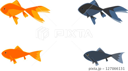 横から見た金魚のイラスト素材セット 横から見た金魚のイラスト素材セット 127866131