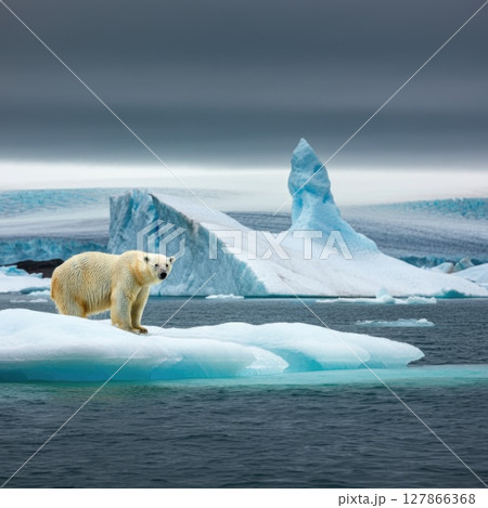 A lone polar bear stands on a shrinking ice floe by Arctic glaciers, under a moody sky, capturing the harsh reality of melting habitats, global warming and climate crisis. Created by AI 127866368