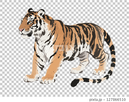 Majestic Tiger in Traditional East Asian Ink Wash Style Majestic Tiger in Traditional East Asian Ink Wash Style 127866510