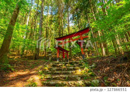 氷室神社　山梨県富士川町 127866551