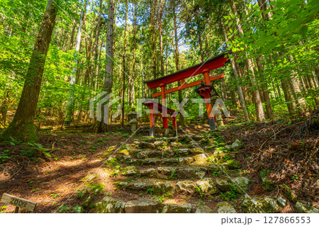 氷室神社　山梨県富士川町 127866553