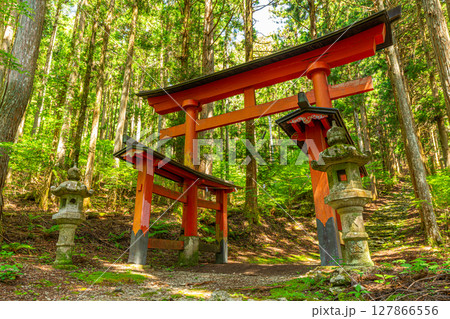 氷室神社 山梨県富士川町 氷室神社 山梨県富士川町 127866556