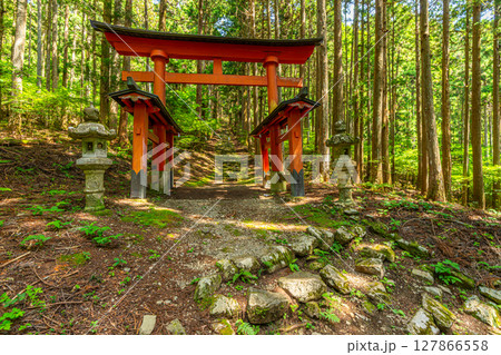 氷室神社 山梨県富士川町 氷室神社 山梨県富士川町 127866558