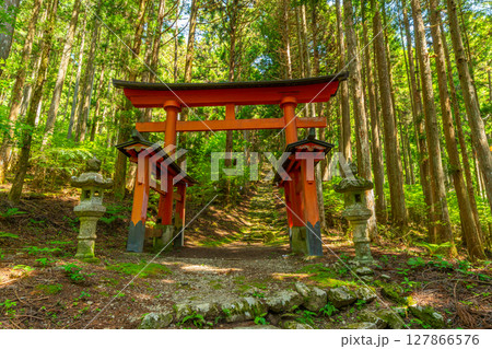 氷室神社 山梨県富士川町 氷室神社 山梨県富士川町 127866576