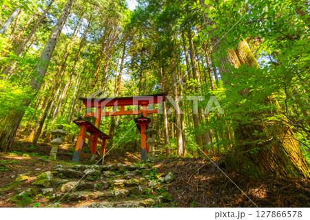 石段を登っていく森の中の神社 氷室神社 山梨県富士川町 石段を登っていく森の中の神社 氷室神社 山梨県富士川町 127866578
