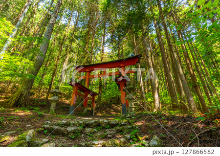 氷室神社　山梨県富士川町 127866582