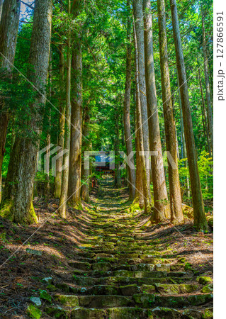 570段の石段を上る氷室神社 山梨県富士川町 570段の石段を上る氷室神社 山梨県富士川町 127866591