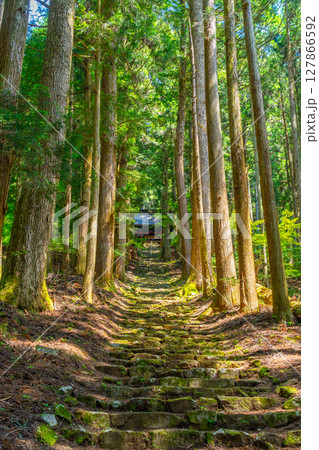 氷室神社 山梨県富士川町 氷室神社 山梨県富士川町 127866592