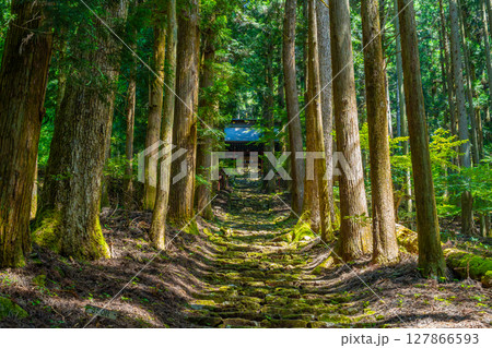 氷室神社　山梨県富士川町 127866593