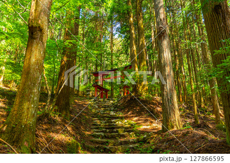 氷室神社 山梨県富士川町 氷室神社 山梨県富士川町 127866595