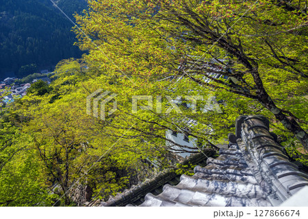 郡上八幡城の風景 127866674