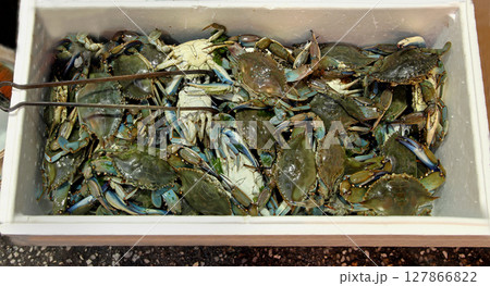 Freshly caught crabs 127866822