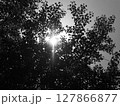 暗闇に光る緑のテクスチャ背景 127866877