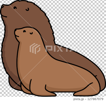 Male and female sea lion cartoon drawing 127867079