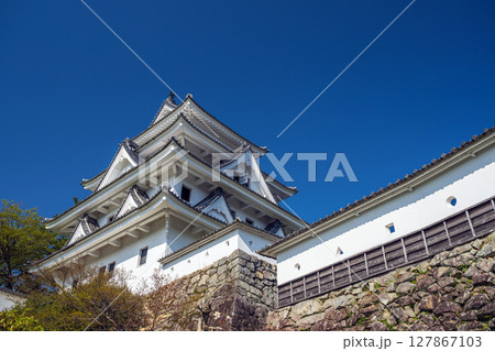 郡上八幡城 天守閣 郡上八幡城 天守閣 127867103