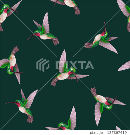 Seamless pattern with hummingbirds. Trendy vector print 127867419