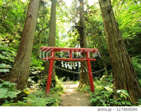 初夏の小僧不動の滝 初夏の小僧不動の滝 127868080