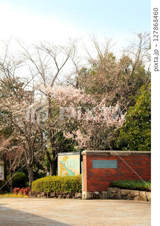 同志社女子大学京田辺キャンパス 同志社女子大学京田辺キャンパス 127868460
