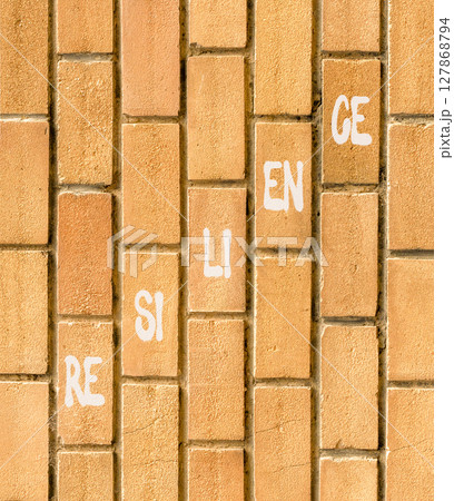 Resilience symbol. Concept word Resilience on beautiful brown bricks. Beautiful brown brick wall background. Business resilience concept. Copy space. 127868794