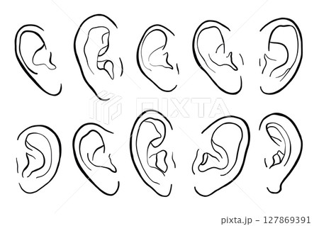 Human Ears Vector Line Illustration Set Human Ears Vector Line Illustration Set 127869391