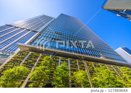 日本の東京都市景観　浜松町駅前の世界貿易センタービルディング南館などを望む 127869684