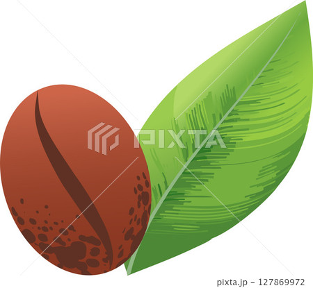 A coffee bean next to one green leaf.  127869972