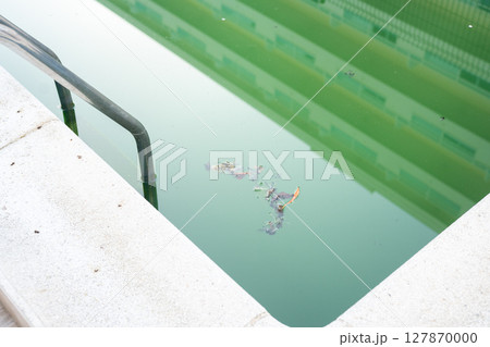 Swimming pool with dirty green water close-up. 127870000