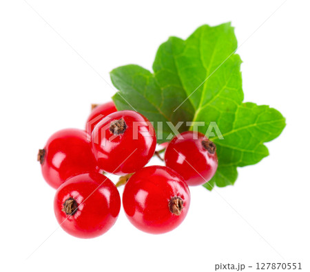 Red currant isolated on white background. Redcurrant or Ribes rubrum ripe berries with green leaves. 127870551