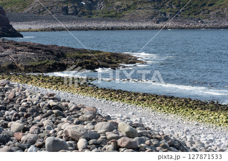 Rocky Arctic coastline with layered moss-covered stones, crashing waves, and rugged green hills in a nature reserve in Teriberka 127871533