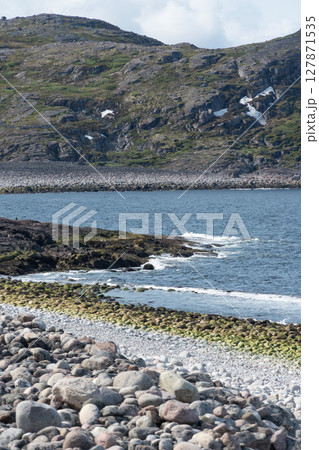 Rocky Arctic coastline with layered moss-covered stones, crashing waves, and rugged green hills in a nature reserve in Teriberka 127871535