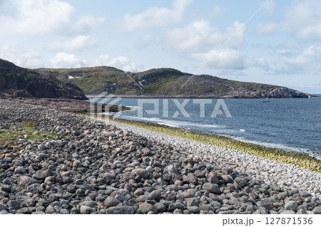 Rocky Arctic coastline with layered moss-covered stones, crashing waves, and rugged green hills in a nature reserve in Teriberka 127871536