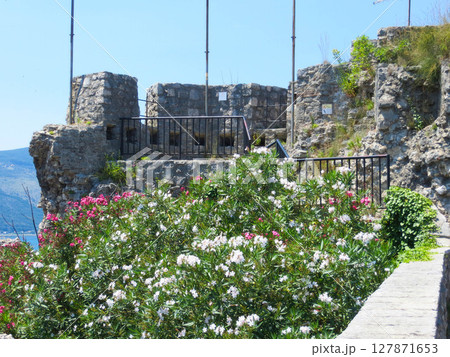 Explore the Historic Kanli Kula Fortress Surrounded by Vibrant Blooms in Herceg Novi, Montenegro 127871653