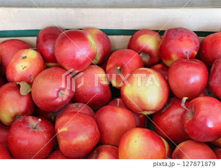 Red apples Red apples 127871879