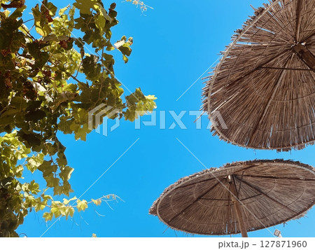 Cretan summer sky, grapevine leaves, and sunshades made of reed 127871960