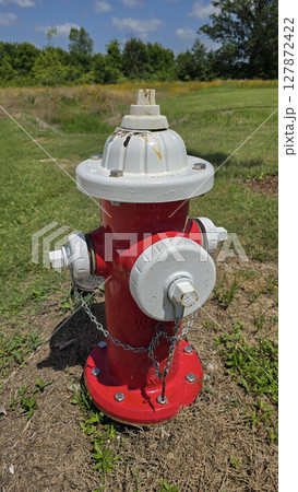 Bright red fire hydrant surrounded by green grass under a sunny sky, showcasing a vital emergency utility for firefighting infrastructure 127872422