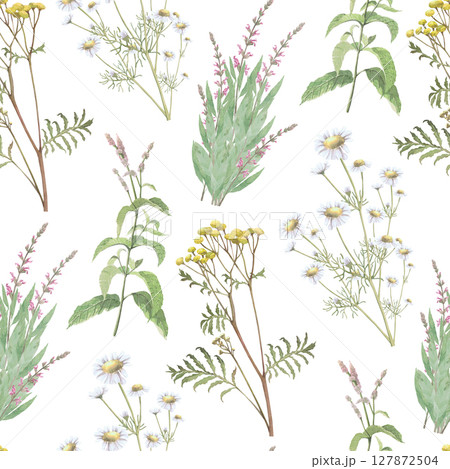 Watercolor seamless pattern of tansy,salvia,mint,chamomile .Hand-drawn clip-art on white background.Realistic images of Medicinal herbs for packaging, textiles, printing, holiday cards, wedding, menu Watercolor seamless pattern of tansy,salvia,mint,chamomile .Hand-drawn clip-art on white background.Realistic images of Medicinal herbs for packaging, textiles, printing, holiday cards, wedding, menu 127872504