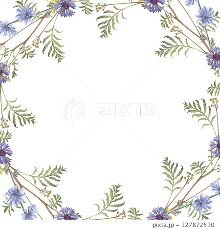 Watercolor frame of cornflower, tansy,chicory . Hand-drawn clip-art on white background. Delicate realistic images of Medicinal herbs for packaging, textiles, printing, holiday cards, wedding, menu Watercolor frame of cornflower, tansy,chicory . Hand-drawn clip-art on white background. Delicate realistic images of Medicinal herbs for packaging, textiles, printing, holiday cards, wedding, menu 127872510