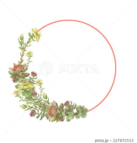 Watercolor frame of Rhodiola rosea and Hypericum. Hand-drawn clip-art on white background. Delicate realistic images of herbs for packaging, textiles, printing, holiday cards,wedding,menu 127872513