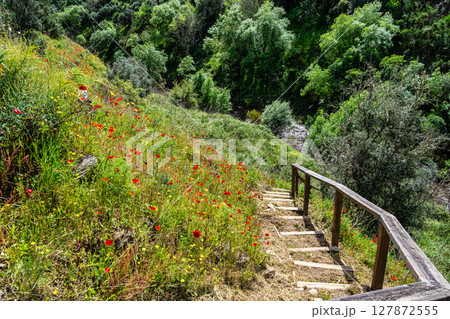 Suspension pedestrian bridge of the Barca da Amieira walkways in Amieira do Tejo, Portugal. 127872555