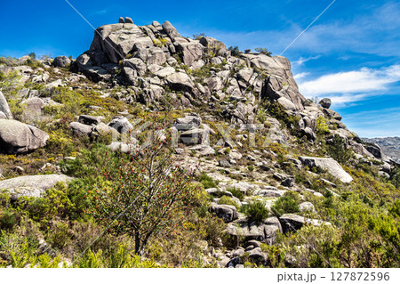 Walking around the Penameda hill in national park Peneda Geres in Portugal. 127872596