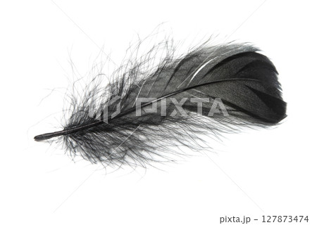 Beautiful black feather isolated on white background Beautiful black feather isolated on white background 127873474