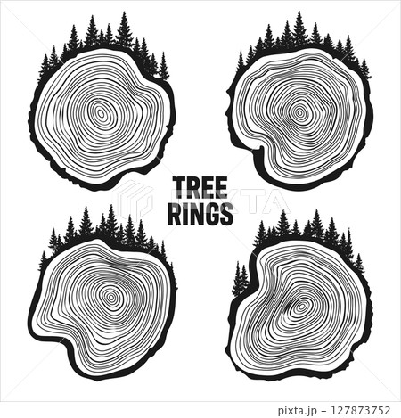 Round tree trunk cuts with trees and forest. Sawn pine or oak slices, lumber. Saw cut timber, wood. Brown wooden texture with tree rings. Hand drawn sketch. Vector illustration 127873752