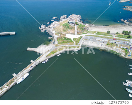 「青森県」ドローンでウミネコ繁殖地、蕪島付近を空撮　種差海岸 127873790