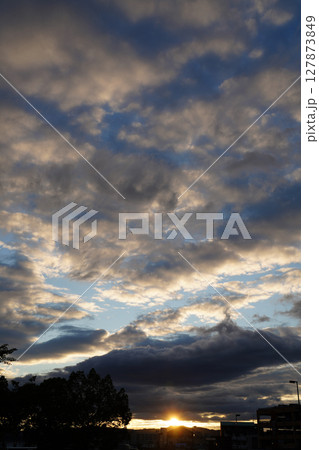 嵯峨野の空 127873849