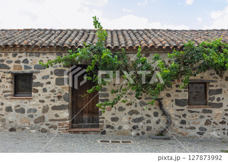 Old stone facade with lush grapevine 127873992