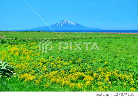 サロベツ原野の風景 サロベツ原野の風景 127874116