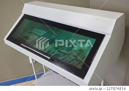 Surgical Instruments Are Organized and Arranged in Sterile Packs for Medical Use and Safety 127874814